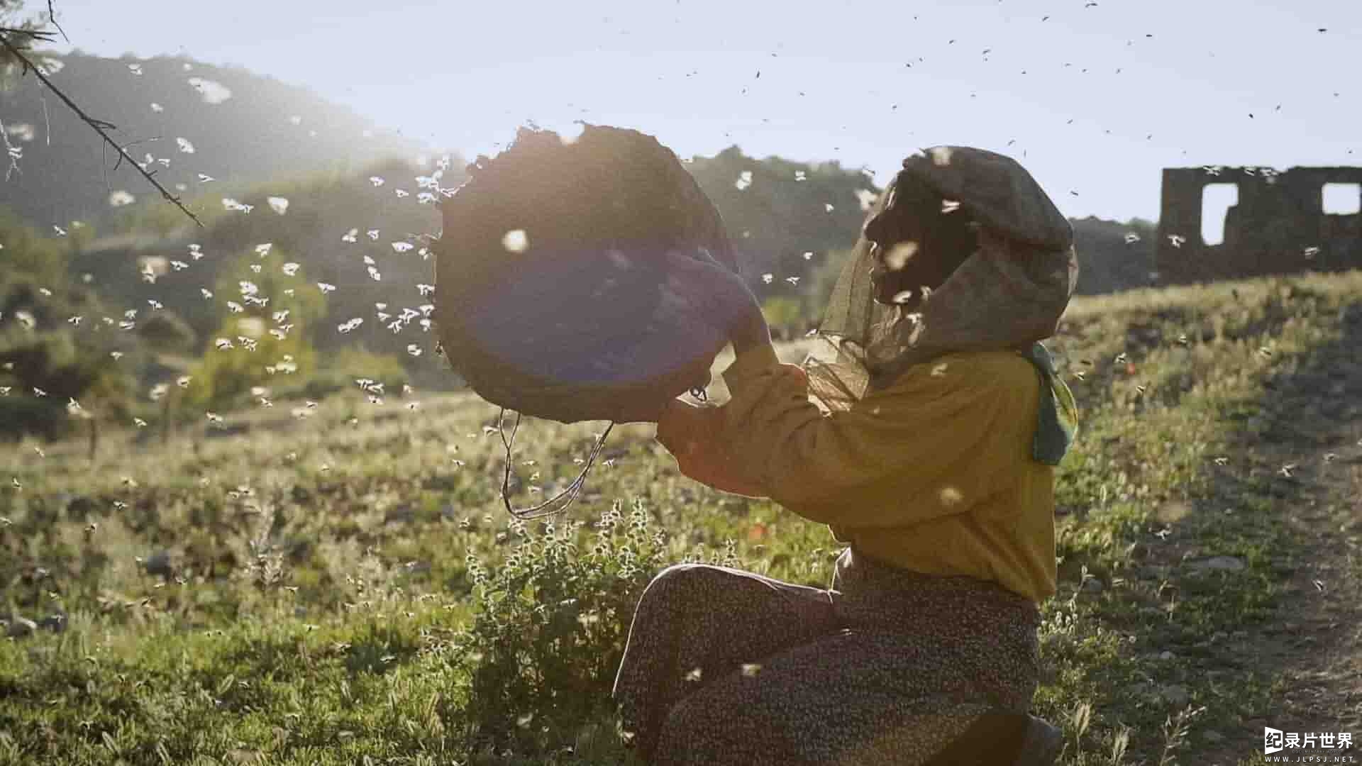 北马其顿纪录片《蜂蜜之地/流蜜大地之诗(港) / 大地蜜语(台) / Honeyland Honeyland 2019》全1集