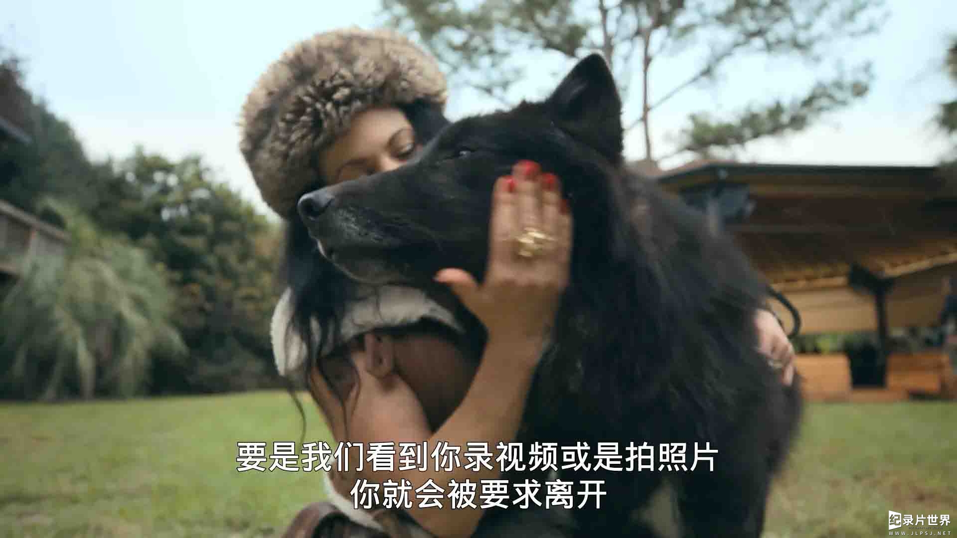 Netflix纪录片《养虎为患：安特尔博士的故事 Tiger King: The Doc Antle Story 2021》全3集