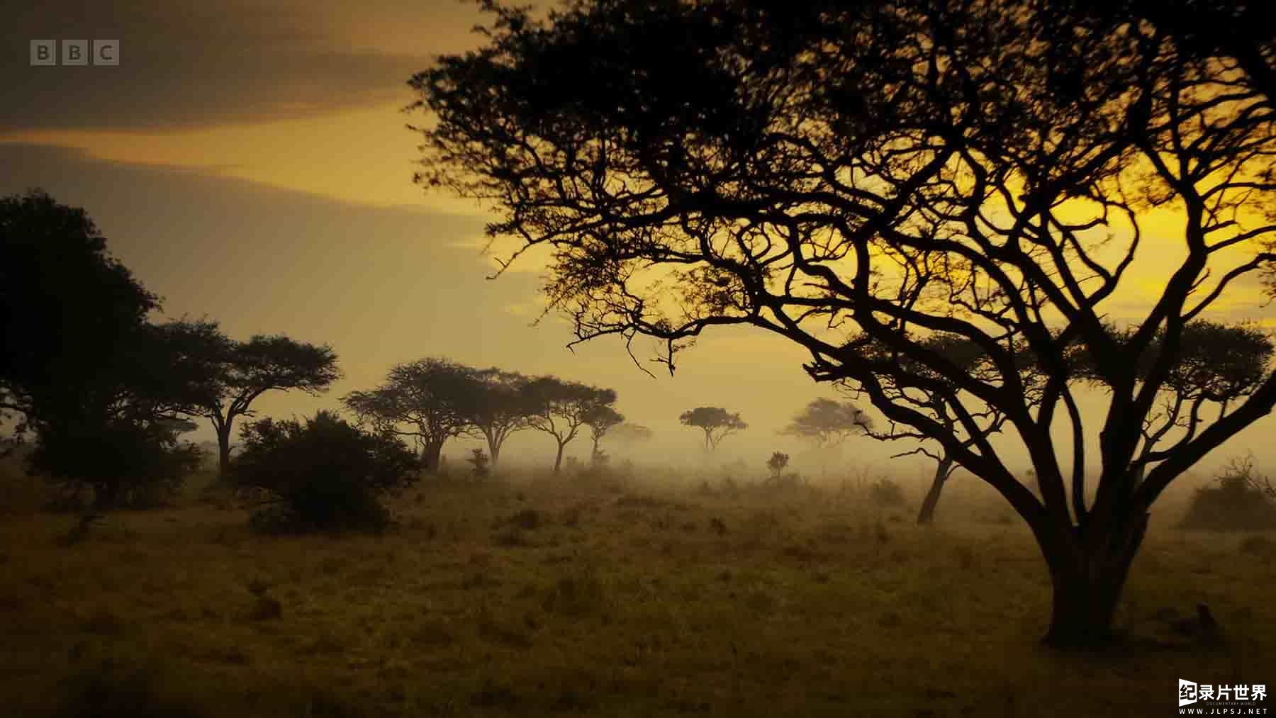 BBC纪录片《塞伦盖蒂 Serengeti 2022》第3季全6集