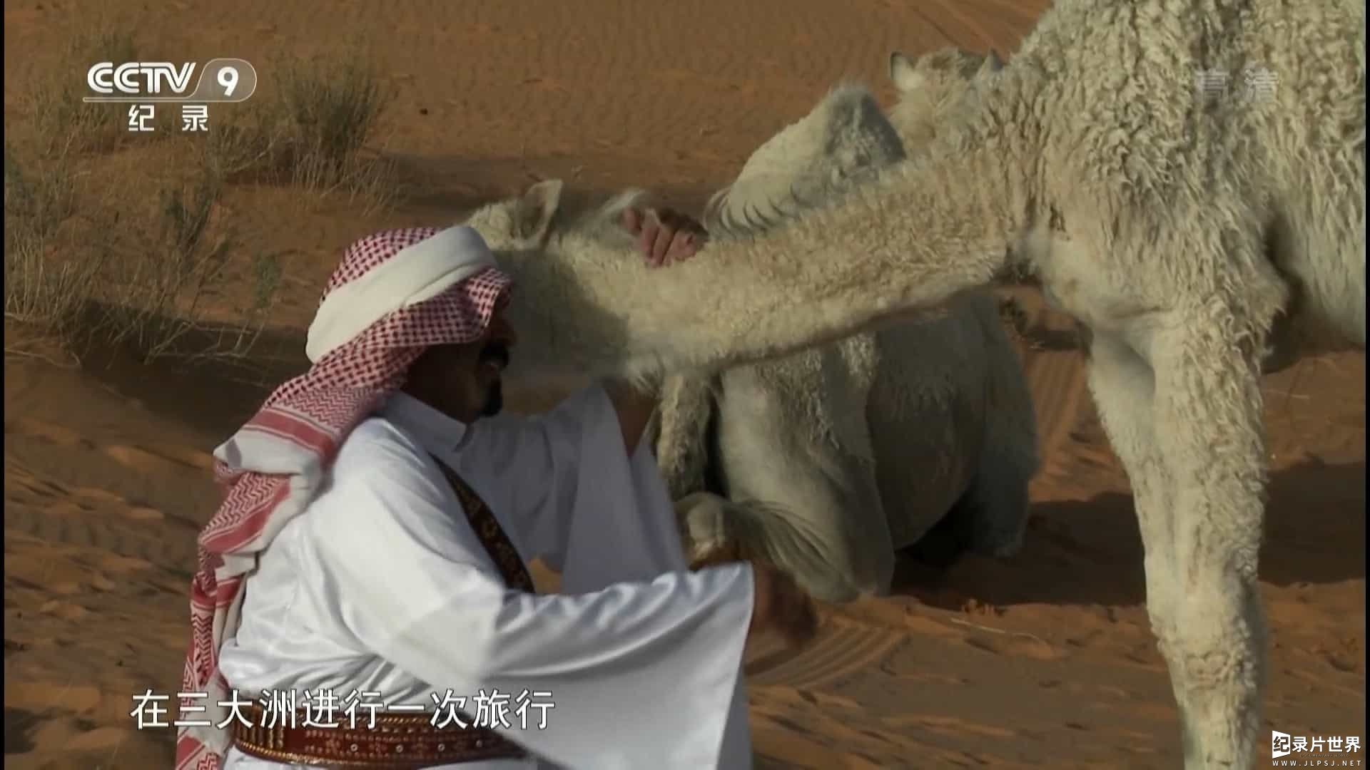 奥地利纪录片《沙漠之舟 Ships of the Desert 2012》全1集