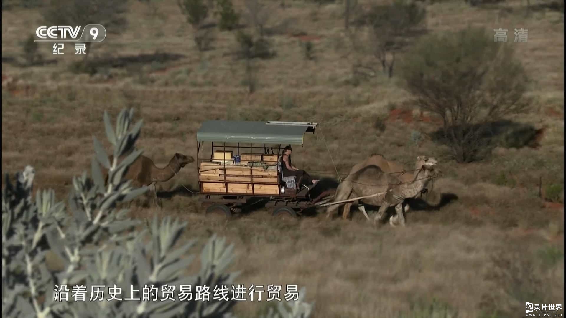 奥地利纪录片《沙漠之舟 Ships of the Desert 2012》全1集