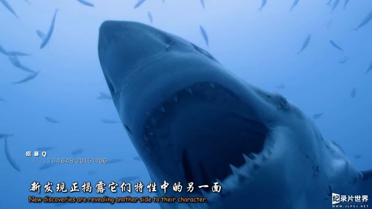BBC纪录片《鲨鱼 Shark 2015》全3集