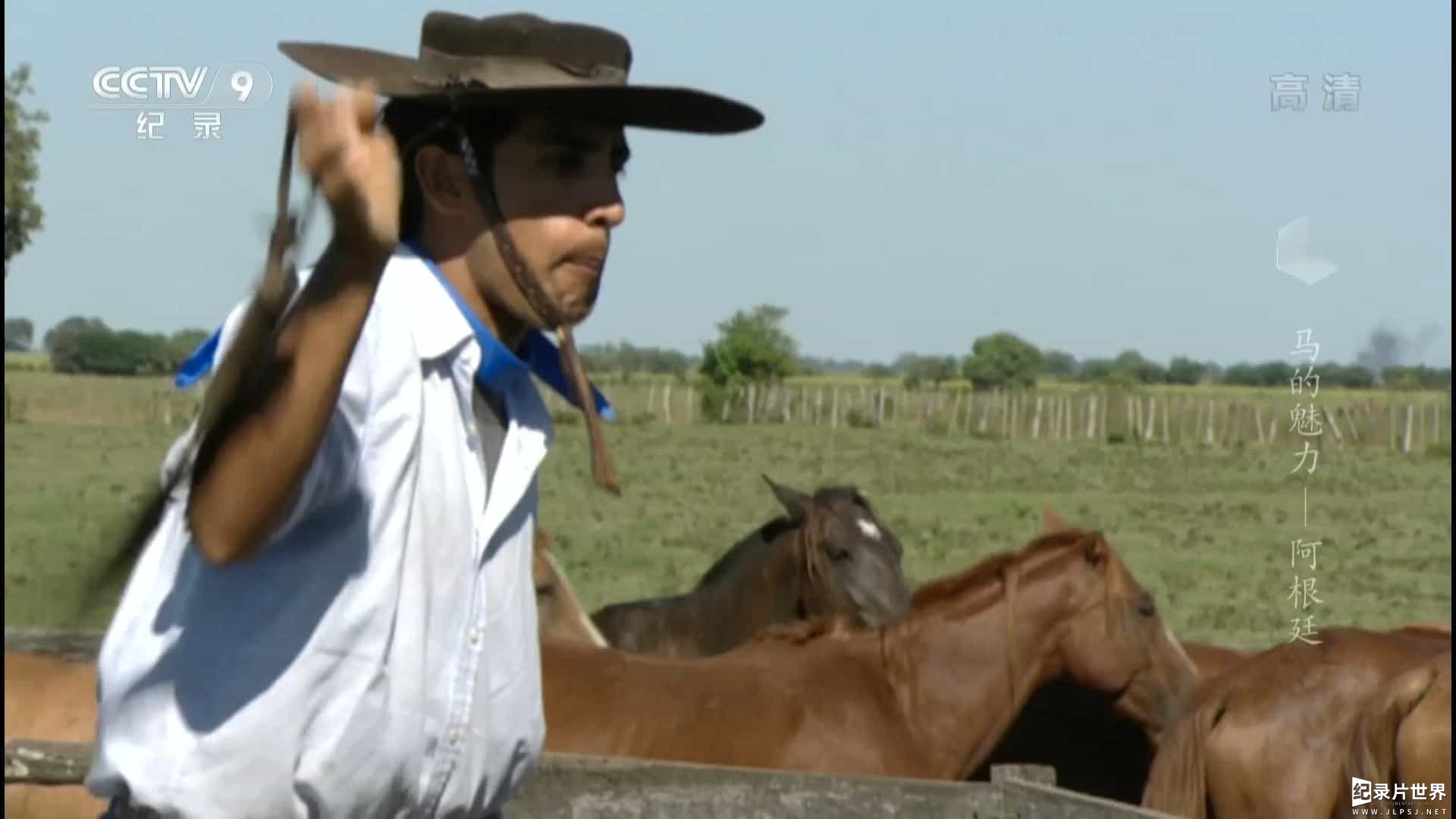 关于马的纪录片《马的魅力 Under The Spell Of Horses 2009》全4集