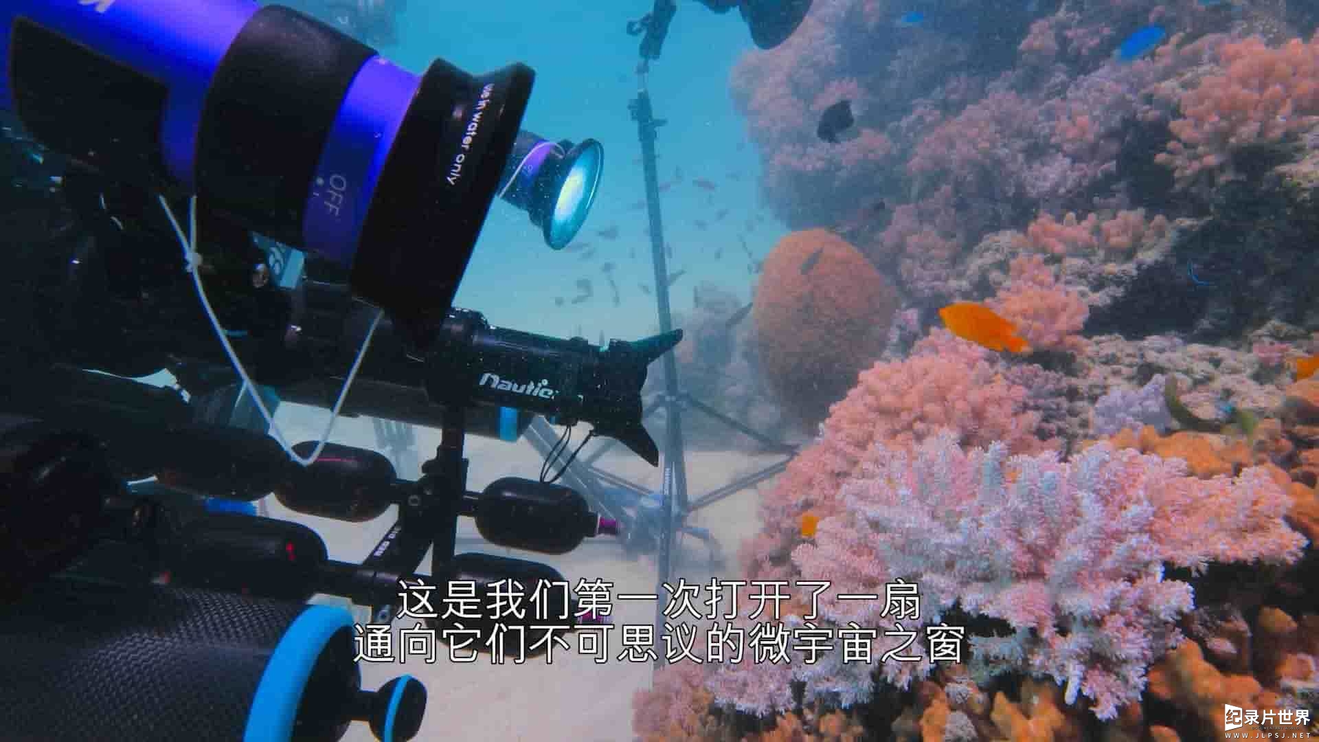 澳大利亚纪录片《河豚之家：神奇的珊瑚礁 Microworlds: Reef 2021》全1集