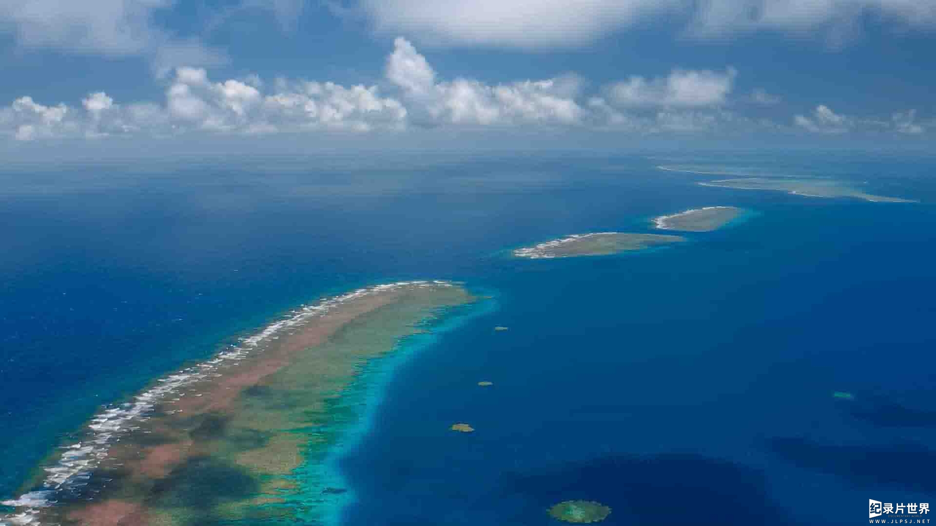 澳大利亚纪录片《河豚之家：神奇的珊瑚礁 Microworlds: Reef 2021》全1集