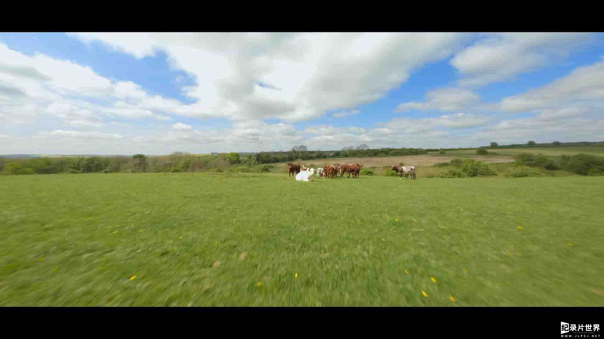Amazon纪录片《克拉克森的农场/我买了一个农场 Clarkson's Farm 2023》第2季全8集