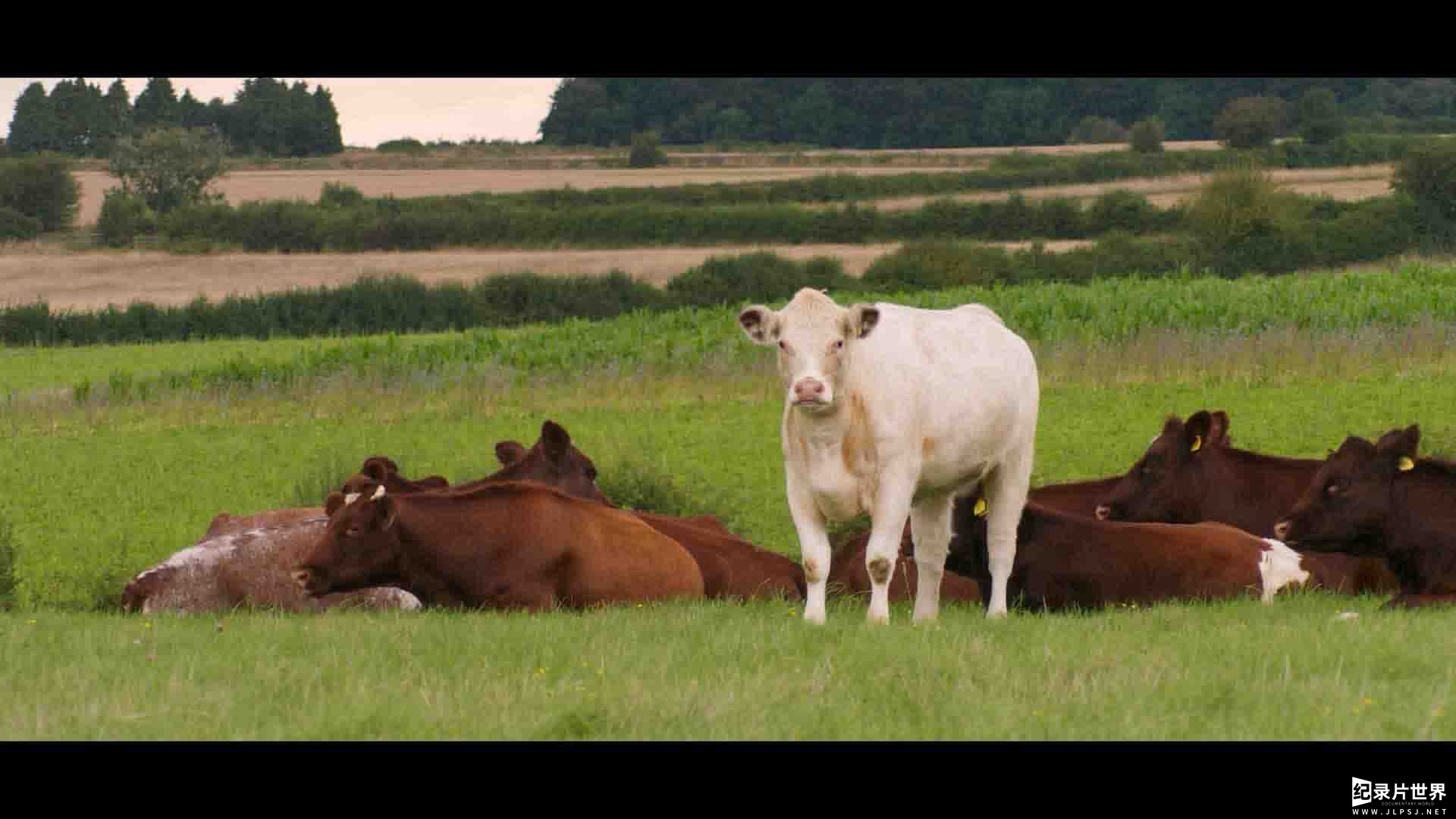 Amazon纪录片《克拉克森的农场/我买了一个农场 Clarkson's Farm 2023》第2季全8集