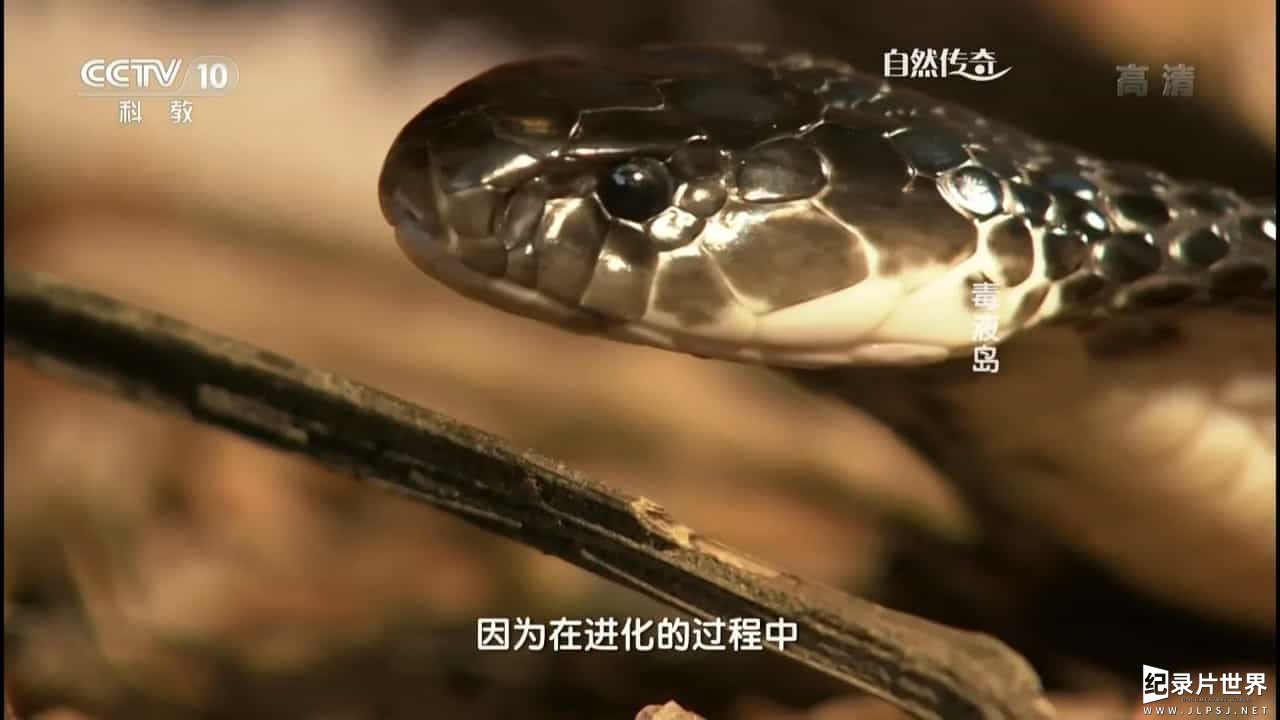 央视纪录片《毒液岛 2014》全1集