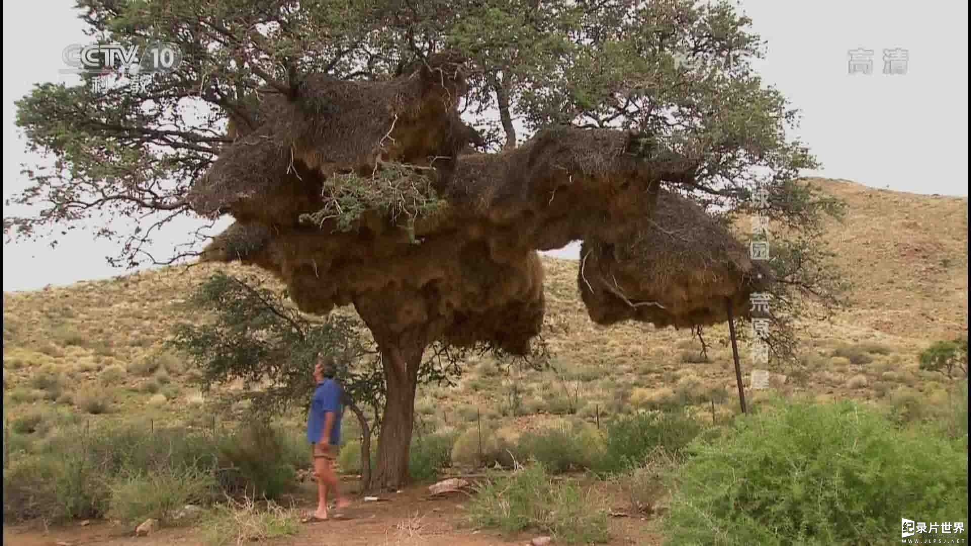 央视地理中国《国际生物多样性日特别节目：地球家园》全6集