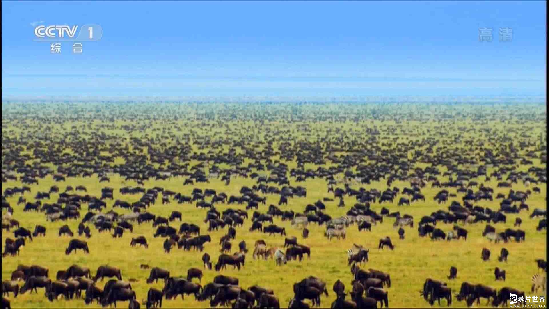 央视纪录片《塞伦盖蒂大草原 The Great Serengeti》全1集
