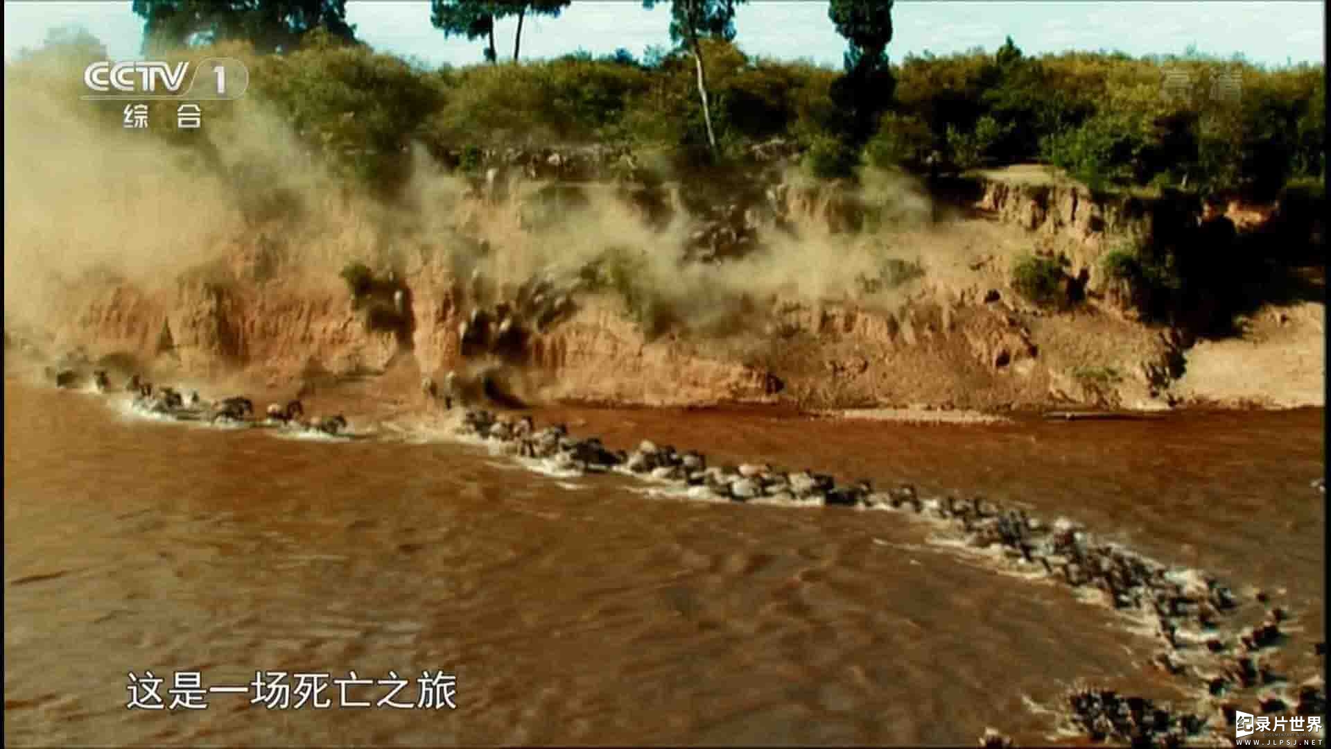 央视纪录片《塞伦盖蒂大草原 The Great Serengeti》全1集