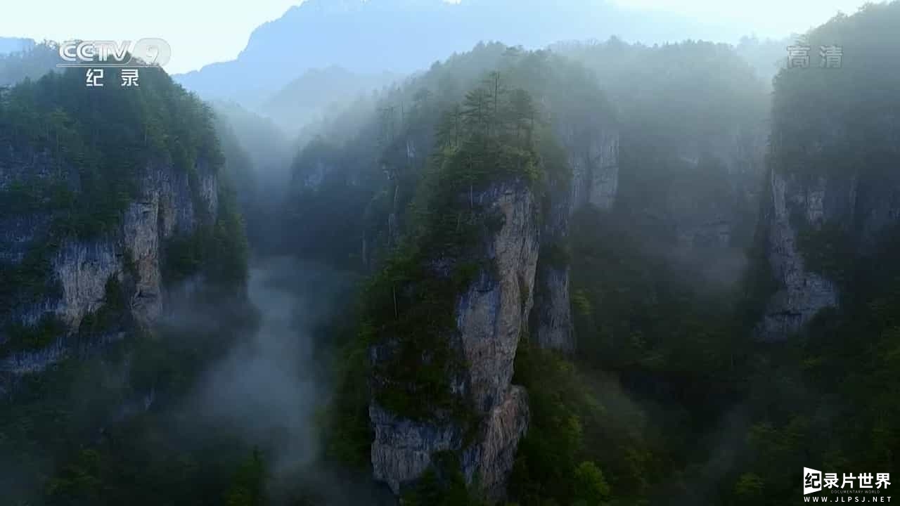 央视自然密语《神农架》全4集