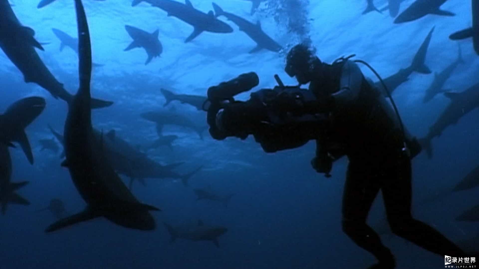 美国纪录片《潜入深海：迈克-德格鲁伊的生活和时代 Diving Deep: The Life and Times of Mike deGruy 2019》全1集
