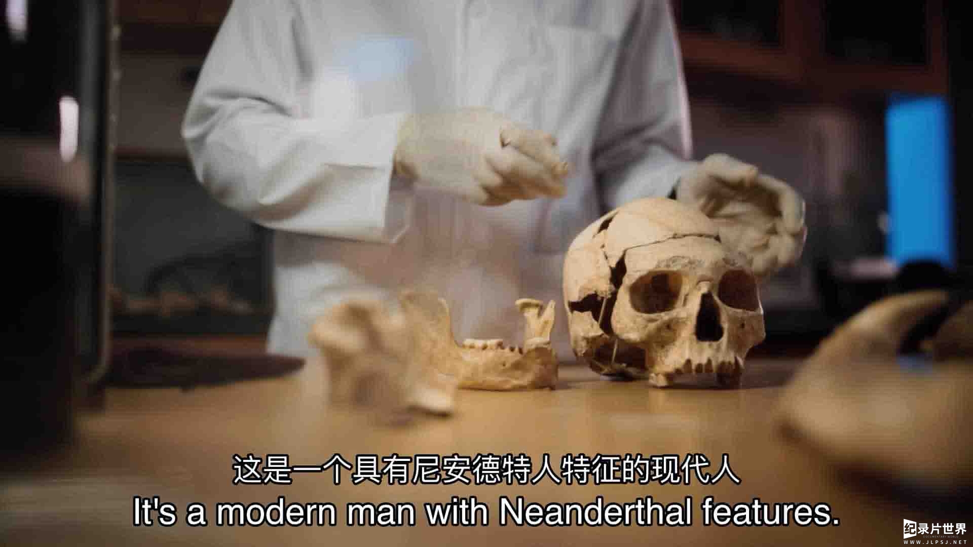 加拿大纪录片《尼安德特人启示录 Neanderthal Apocalypse 2015》第1季全2集
