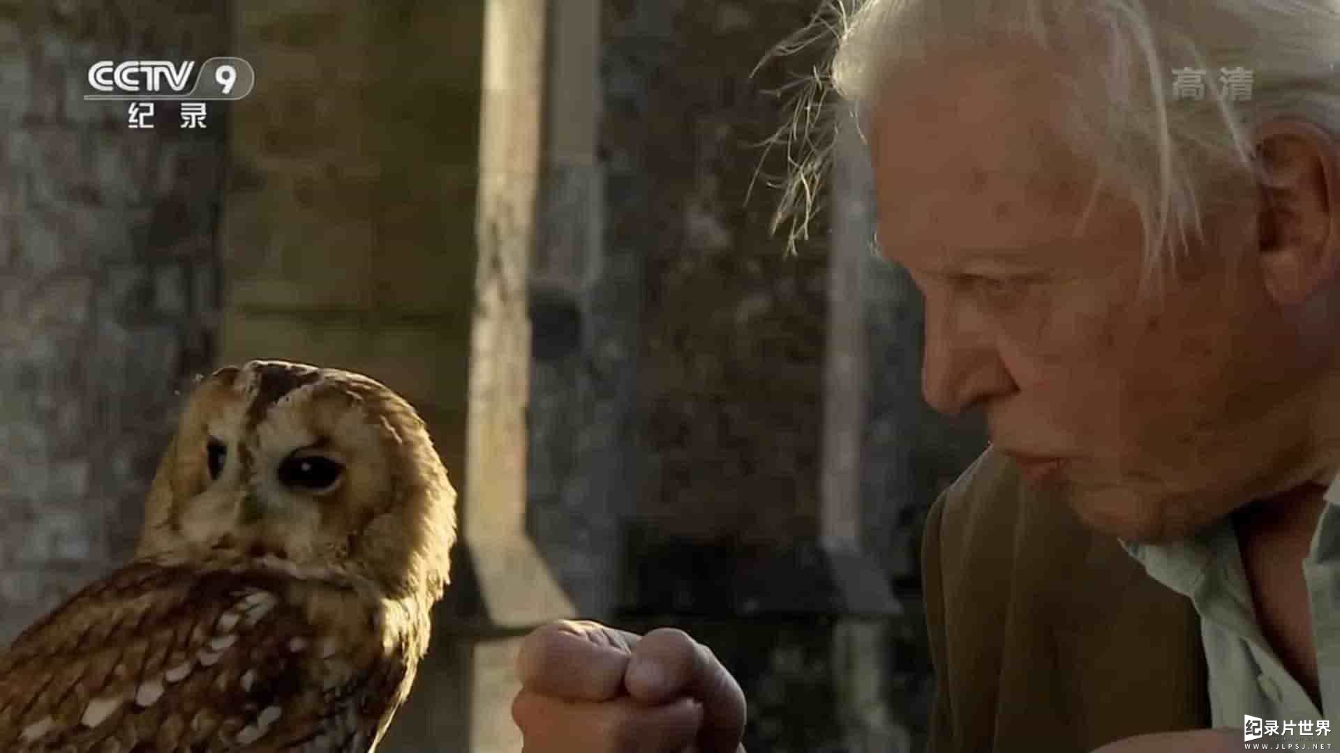 央视纪录片《进化奇技大盘点 David Attenborough’s Natural Curiosities》全7集