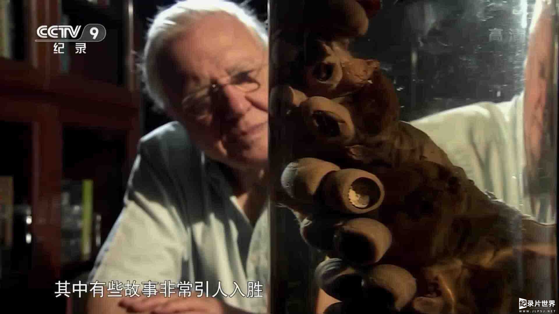 央视纪录片《进化奇技大盘点 David Attenborough’s Natural Curiosities》全7集