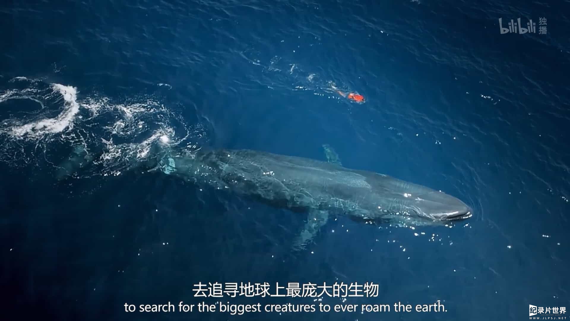 探索频道《追踪海洋巨兽 Chasing Ocean Giants 2021》全8集