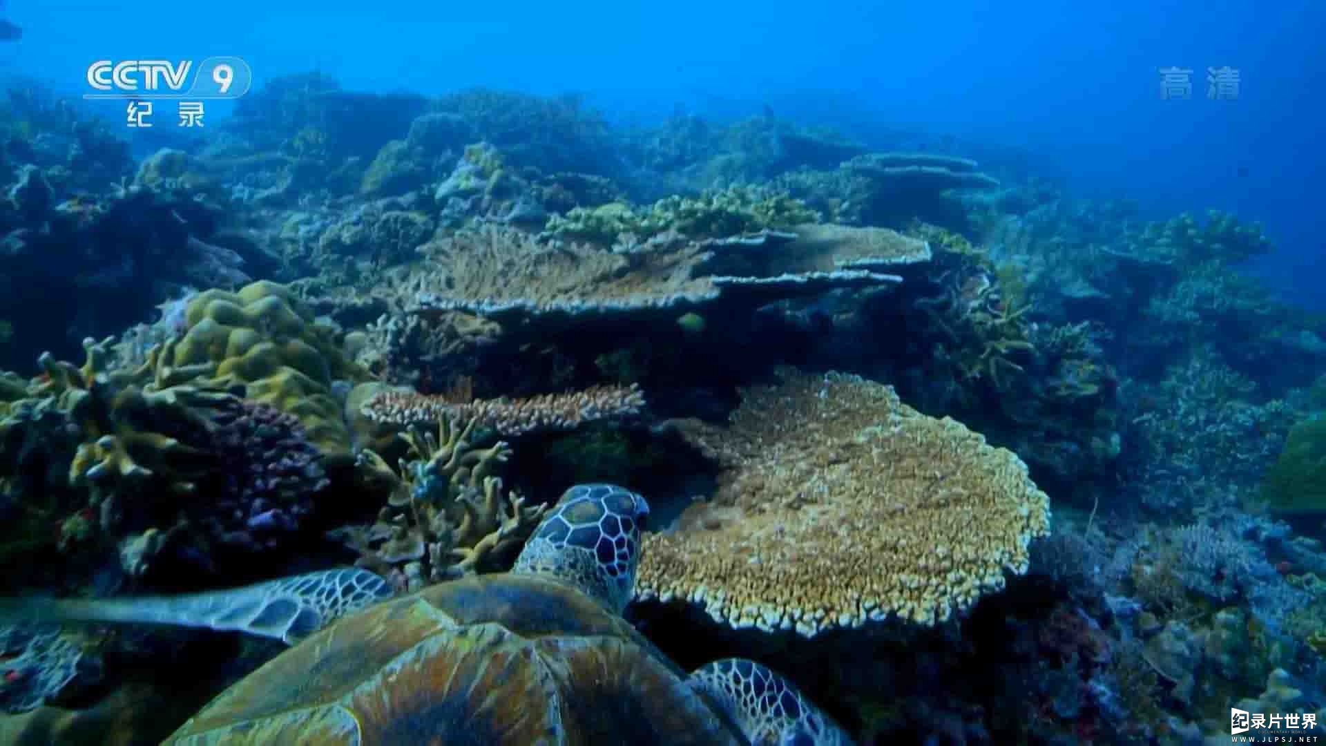 央视纪录片《走进基纳巴唐岸河 2014》全3集