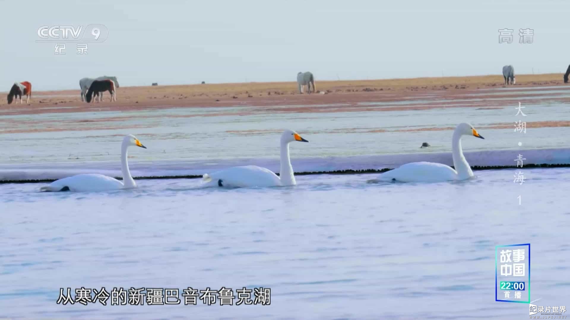 人文自然类纪录片《大湖·青海》全3集