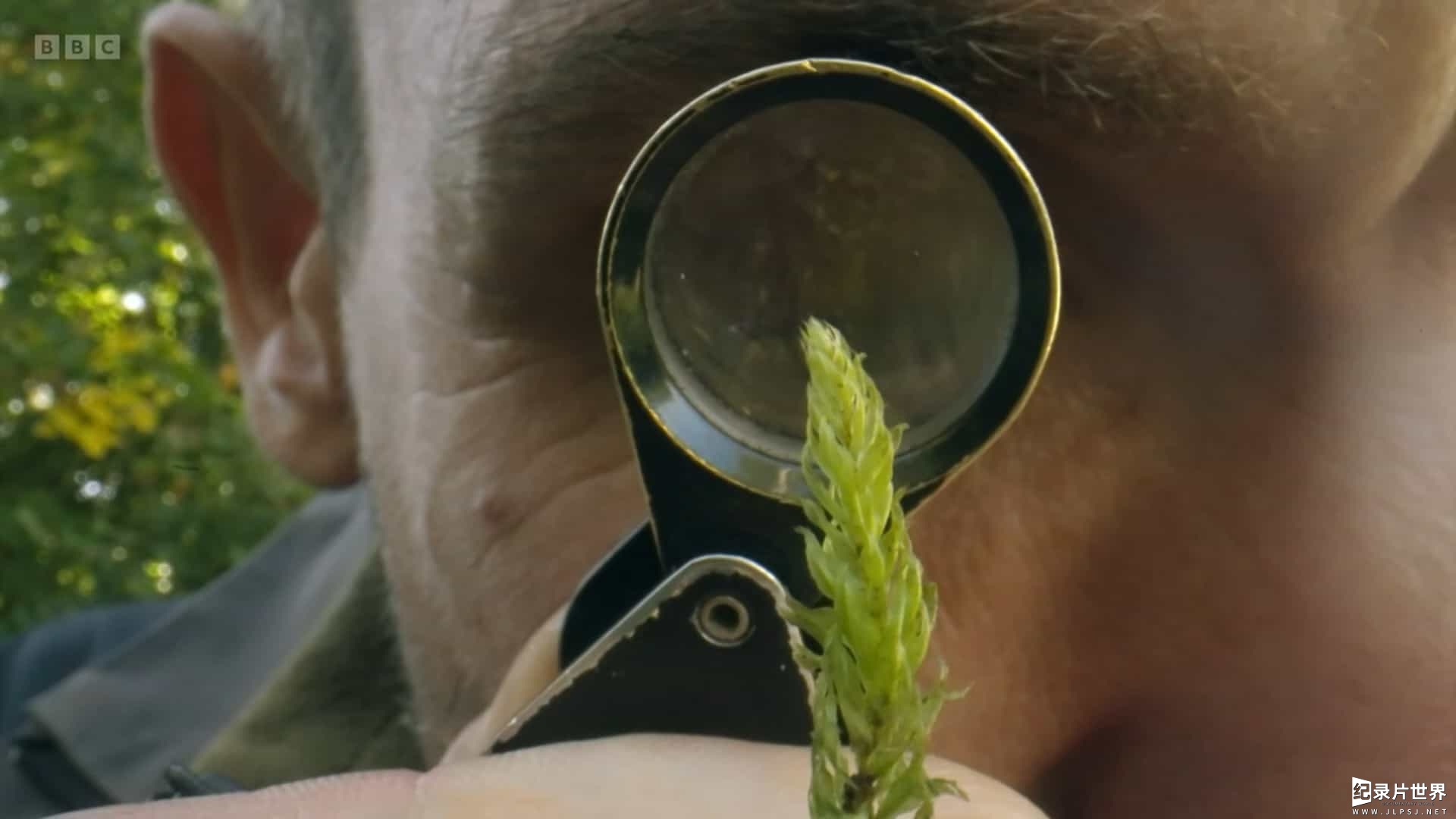 BBC纪录片《神奇的苔藓世界 The Magical World of Moss 2023》全1集