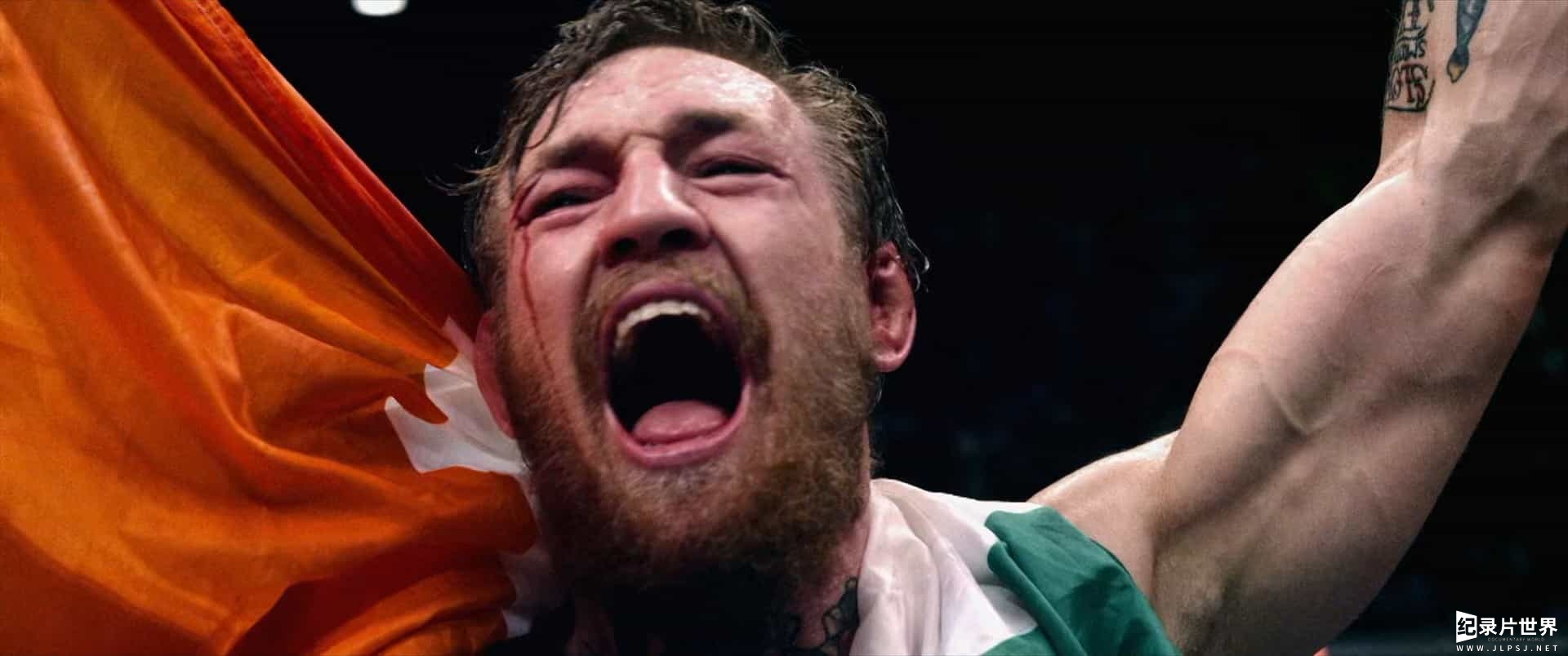 爱尔兰纪录片《康纳·麦格雷戈：臭名昭著 Conor McGregor: Notorious 2017》全1集 