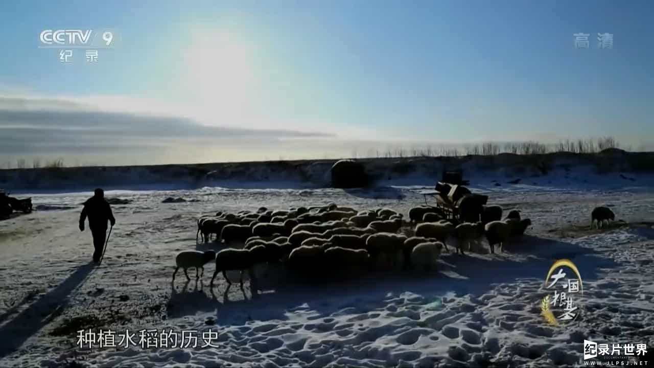 央视大型纪录片《大国根基 The Power of Agriculture 2018》全6集