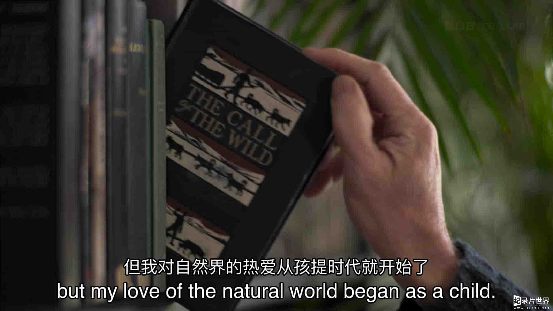 BBC纪录片《雪犬：进入荒野 Snow Dogs: Into the Wild 2022》全1集