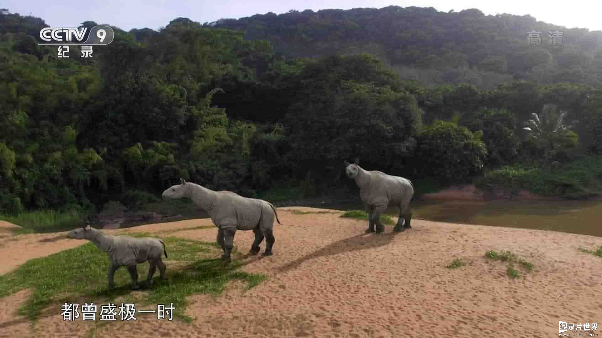 央视纪录片《史前巨兽大揭秘 Mysteries of the Giants 2018》全3集