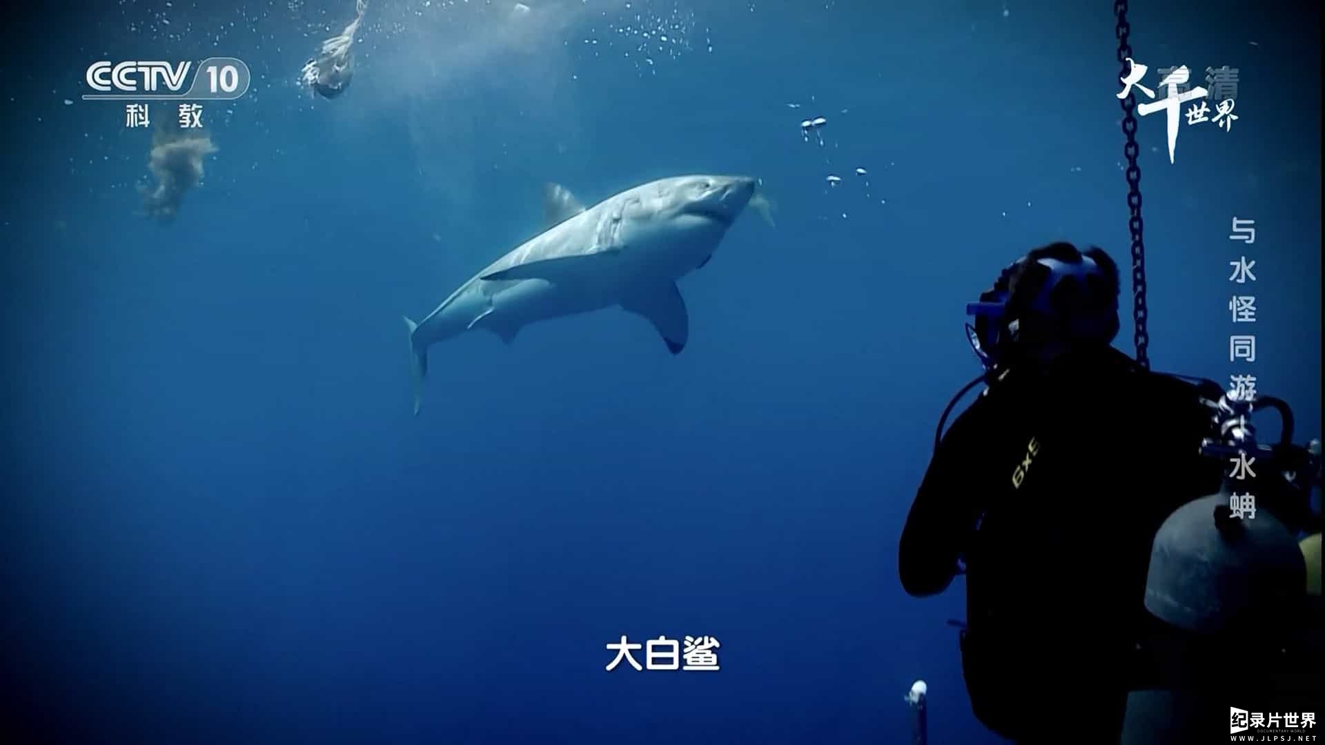 探索频道《与水怪同游 Swimming With Monsters: Steve Backshall 2018》全4集