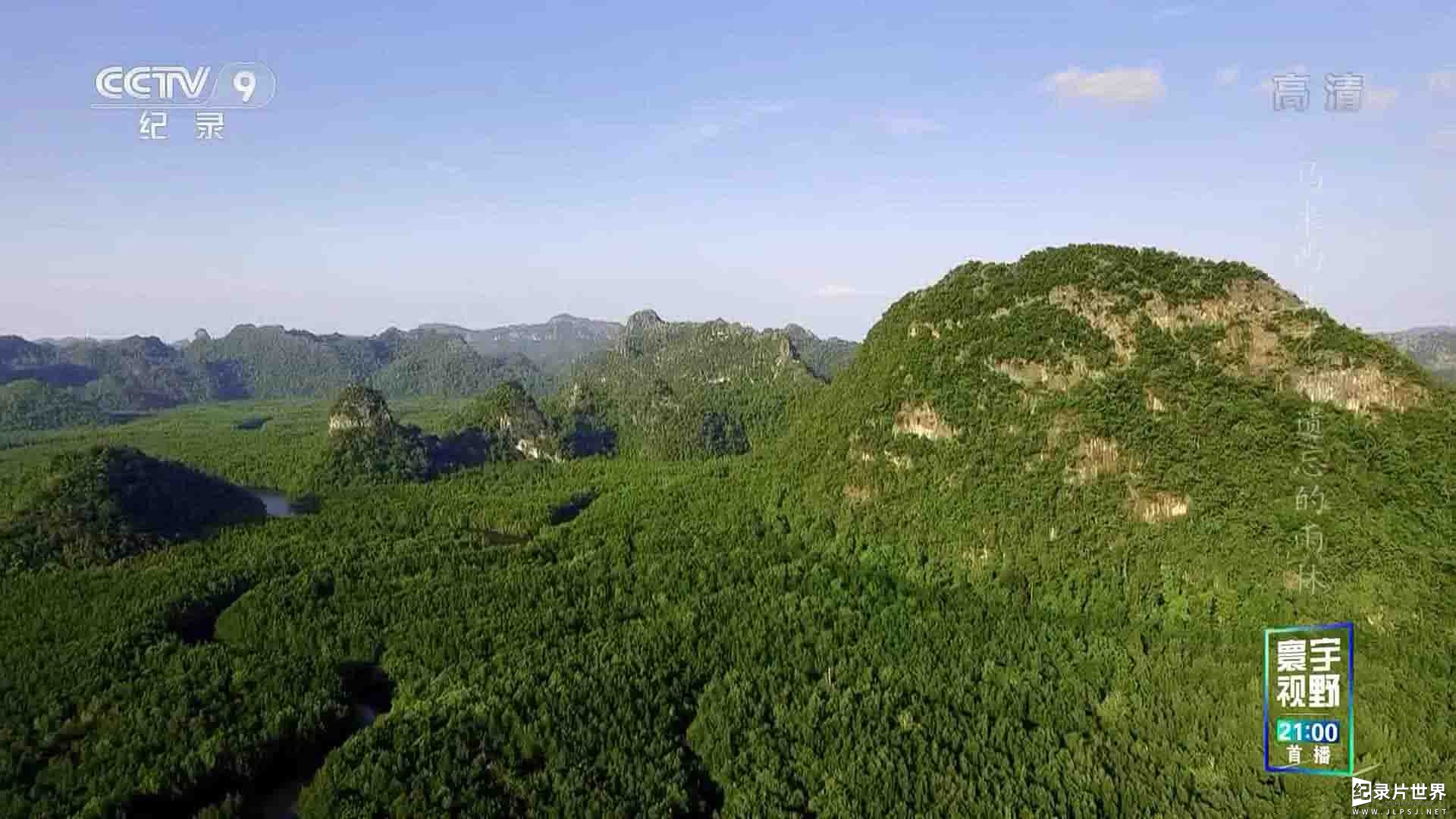 央视纪录片《马来西亚被遗忘的雨林 Forgotten Forests of Malaysia 2018》全1集