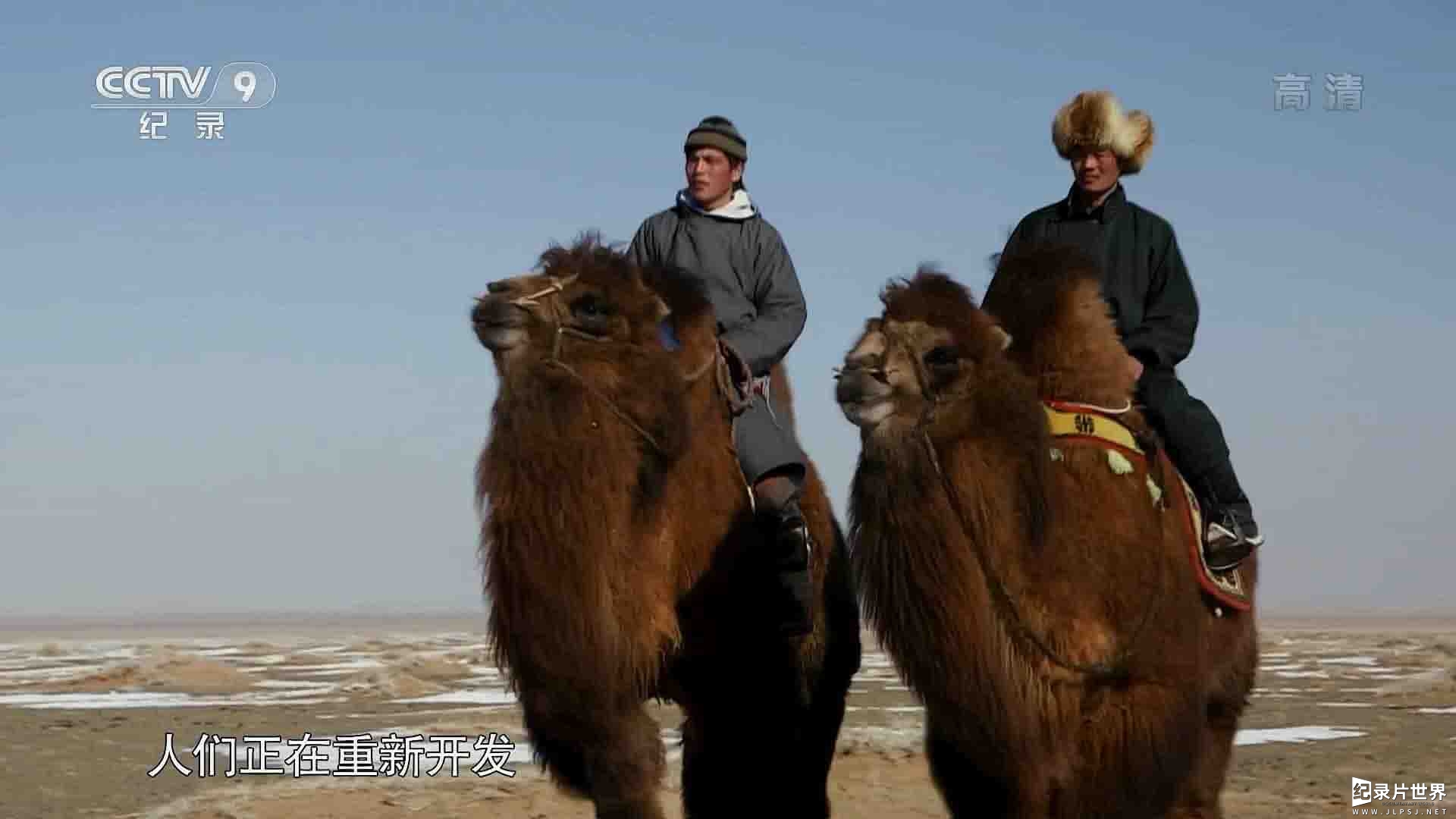 法国纪录片《骆驼一族的回归 The Return Of The Camelids 2018》全3集