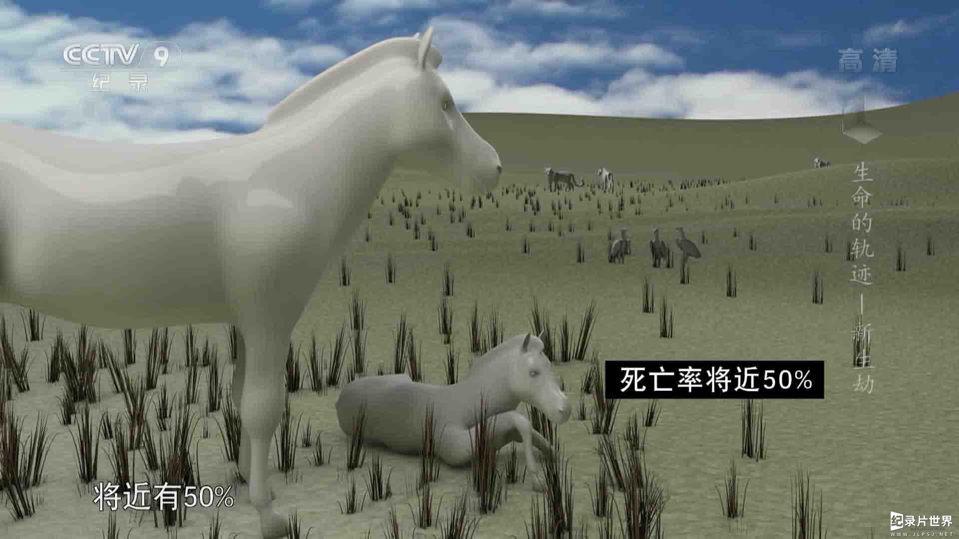 BBC纪录片《生命的轨迹/生命之轮 Life Cycles 2018》全6集