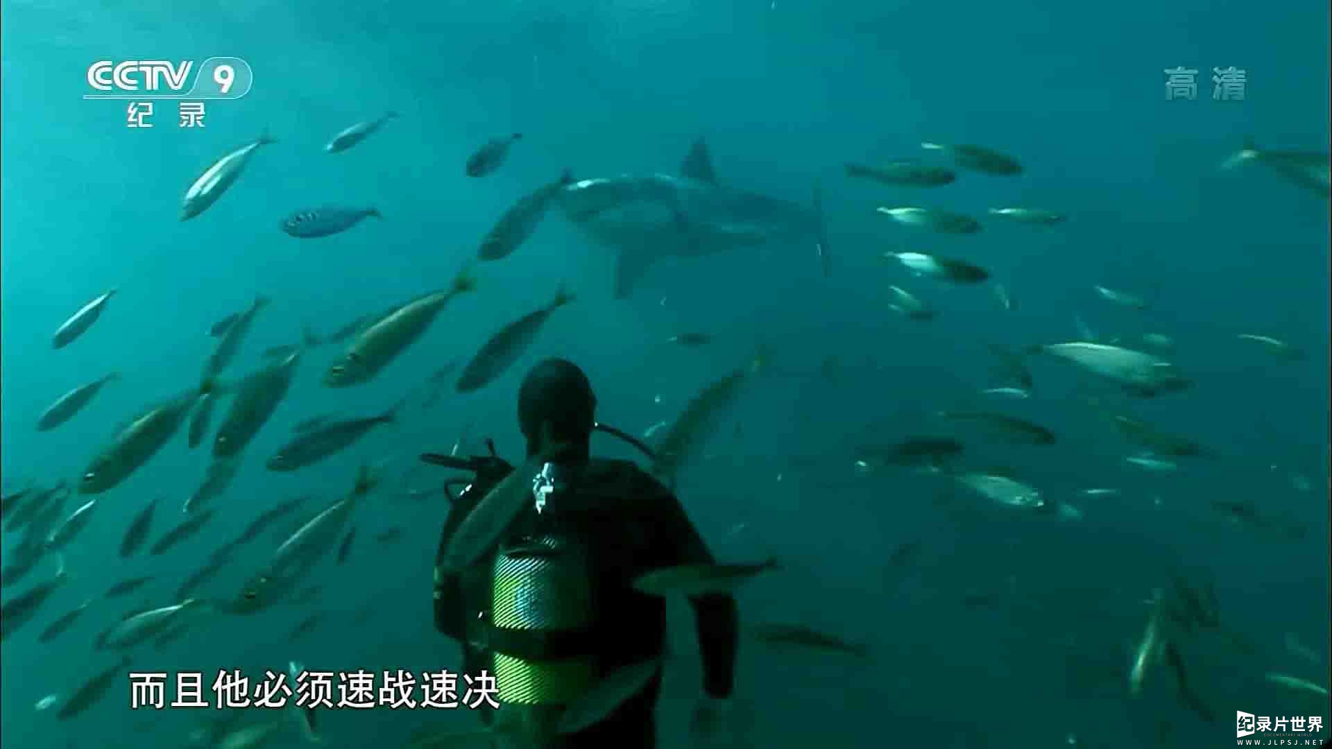 央视纪录片《探秘鲨鱼海滩 Mystery at Shark Beach 2010》全1集