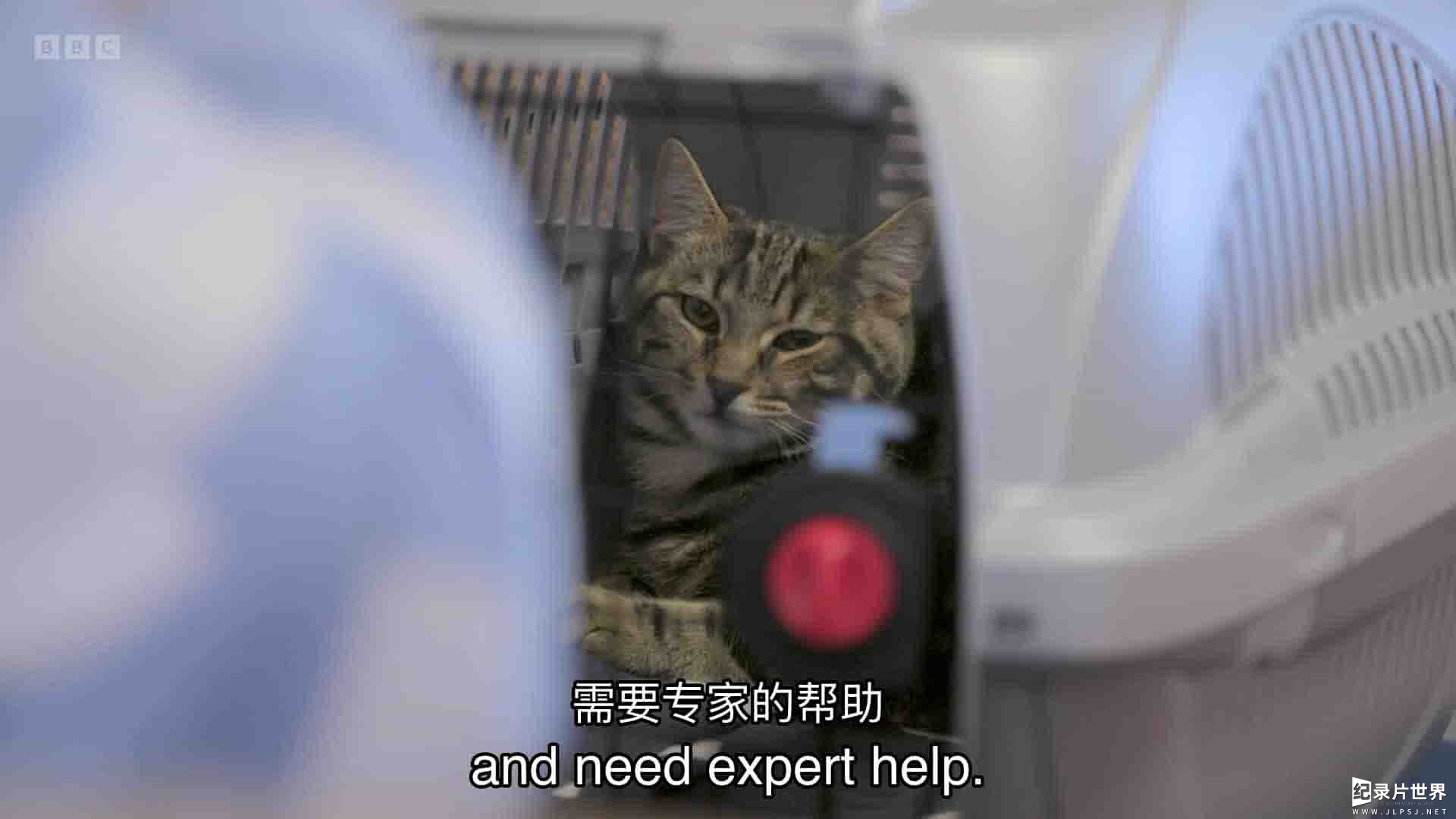 BBC纪录片《24小时宠物医院 24/7 Pet Hospital 2023》第1季全10集