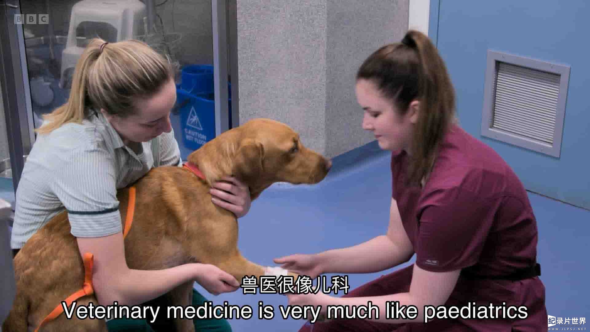 BBC纪录片《24小时宠物医院 24/7 Pet Hospital 2023》第1季全10集
