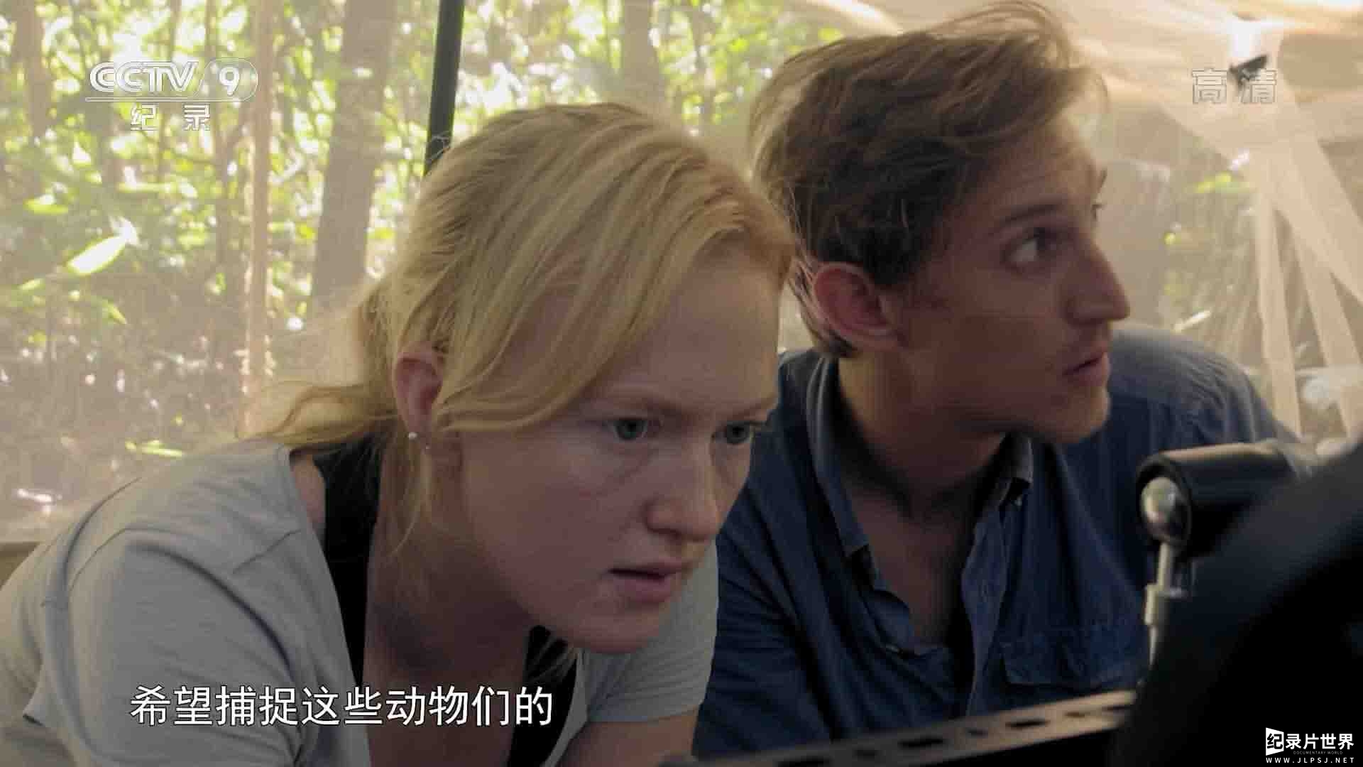 PBS纪录片《探秘亚马孙无人区 Undercover in the Jungle 2019》全1集