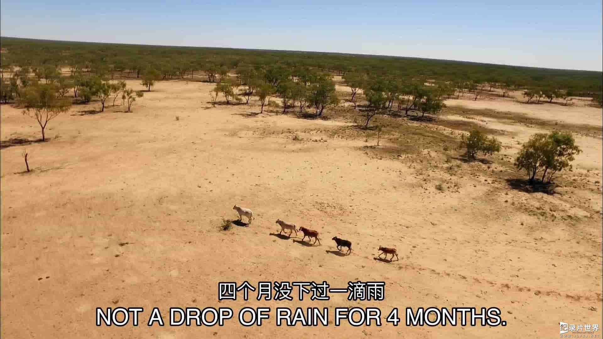 澳大利亚纪录片《内陆大采风 Outback 2018》全3集