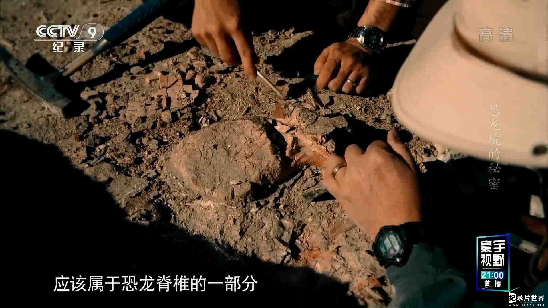 央视纪录片《恐龙坑的秘密 Secrets of the Dinosaur Crater 2018》全1集