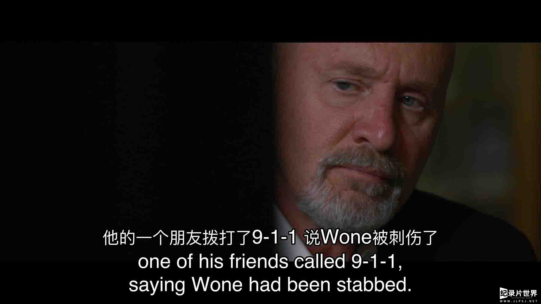 美国纪录片《谁杀了罗伯特·沃恩？Who Killed Robert Wone? 2023》第1季全2集