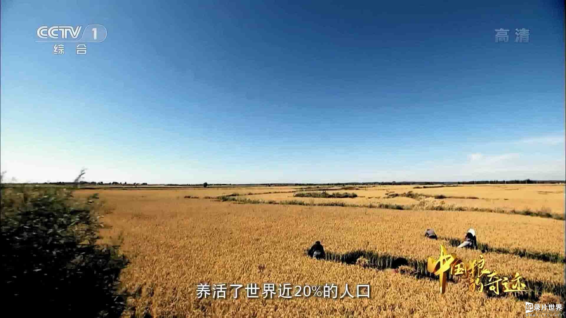 央视纪录片《中国粮的奇迹 2019》全4集