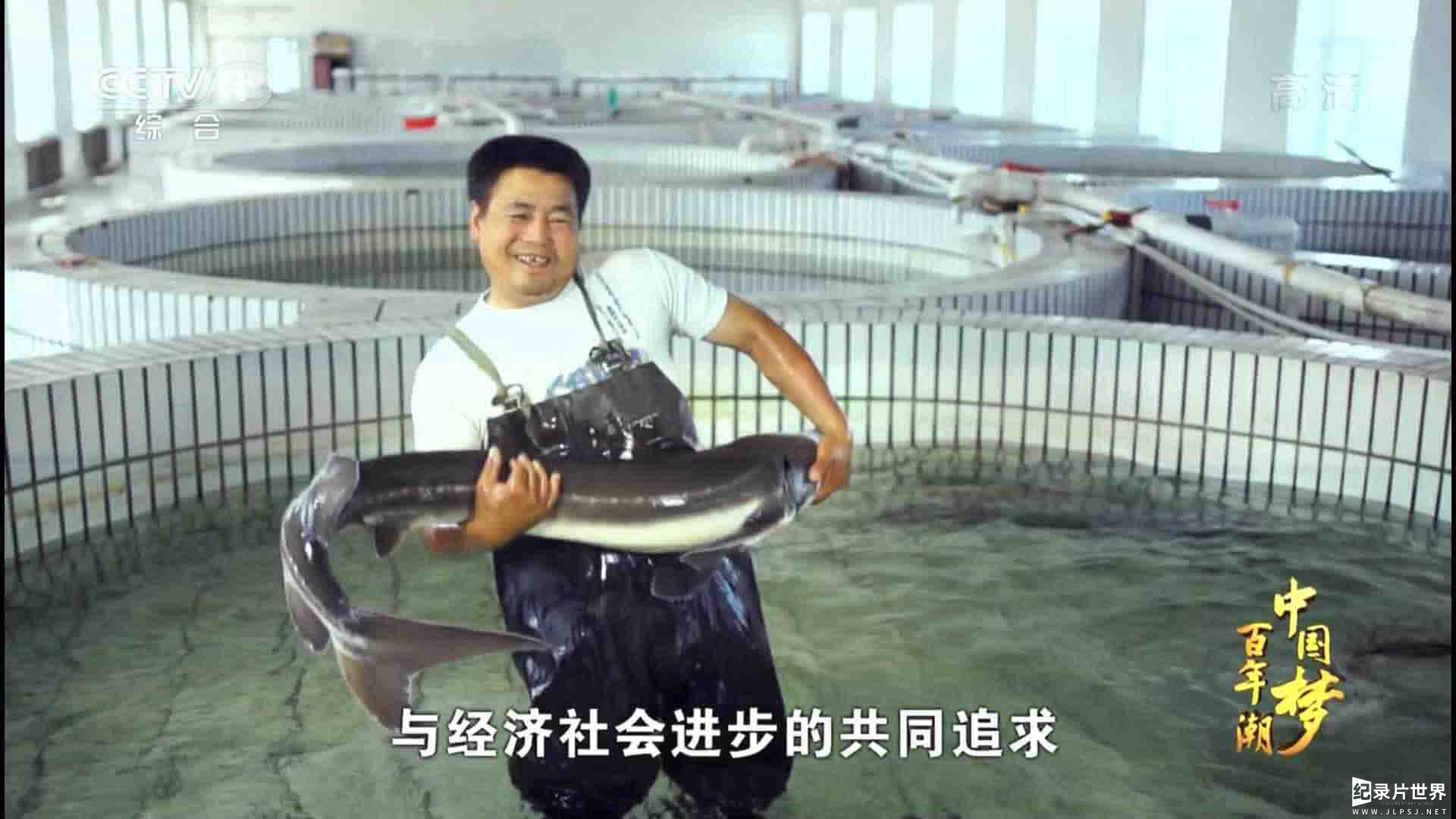 央视纪录片《百年潮·中国梦 2014》全5集