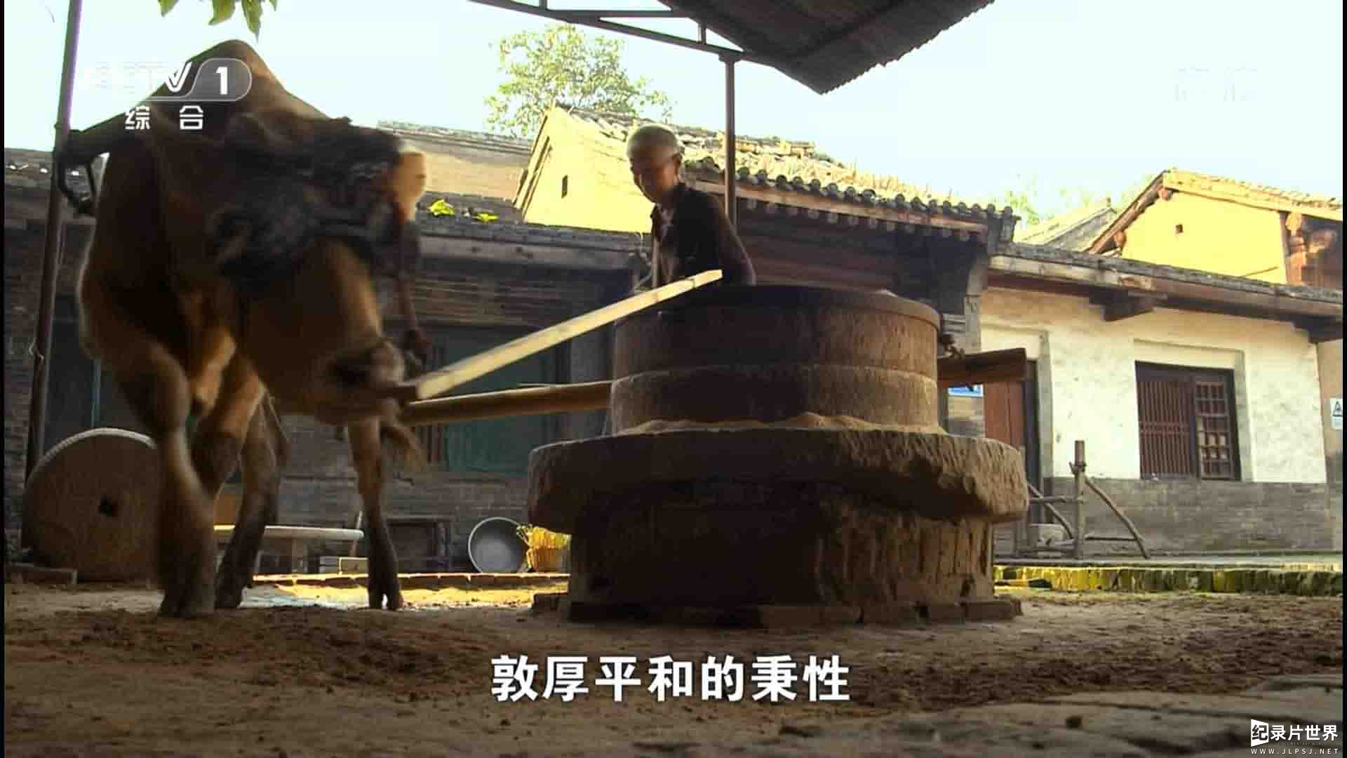 央视纪录片《百年潮·中国梦 2014》全5集