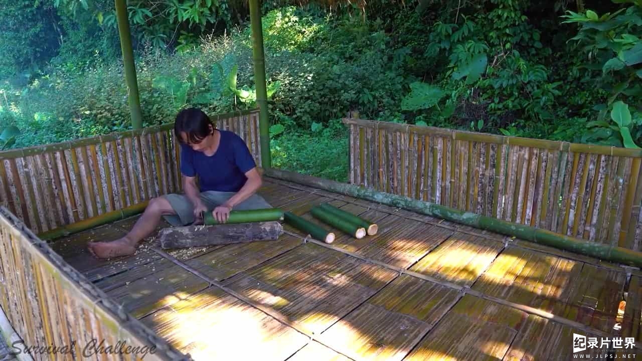 热带雨林求生系列《原始技术：挑战丛林生存6个月 Primitive Technology – The 6 Month Survival Challenge in the Jungle 2020》全30集