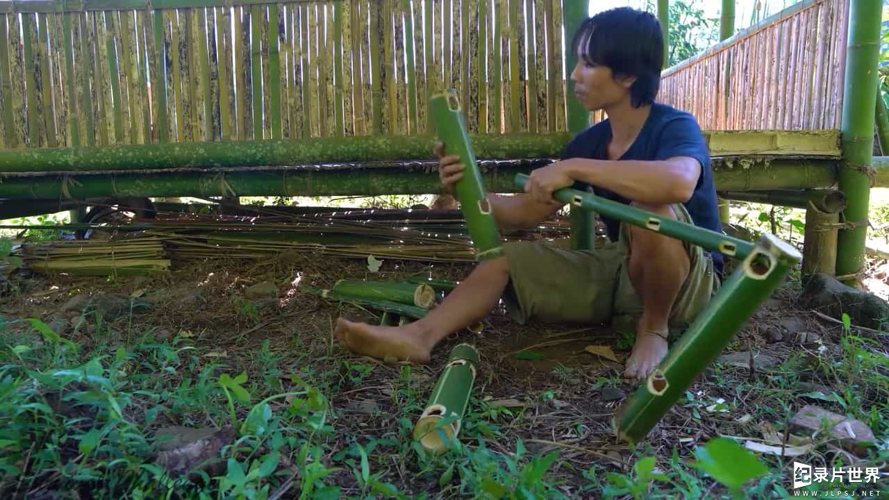 热带雨林求生系列《原始技术：挑战丛林生存6个月 Primitive Technology – The 6 Month Survival Challenge in the Jungle 2020》全30集