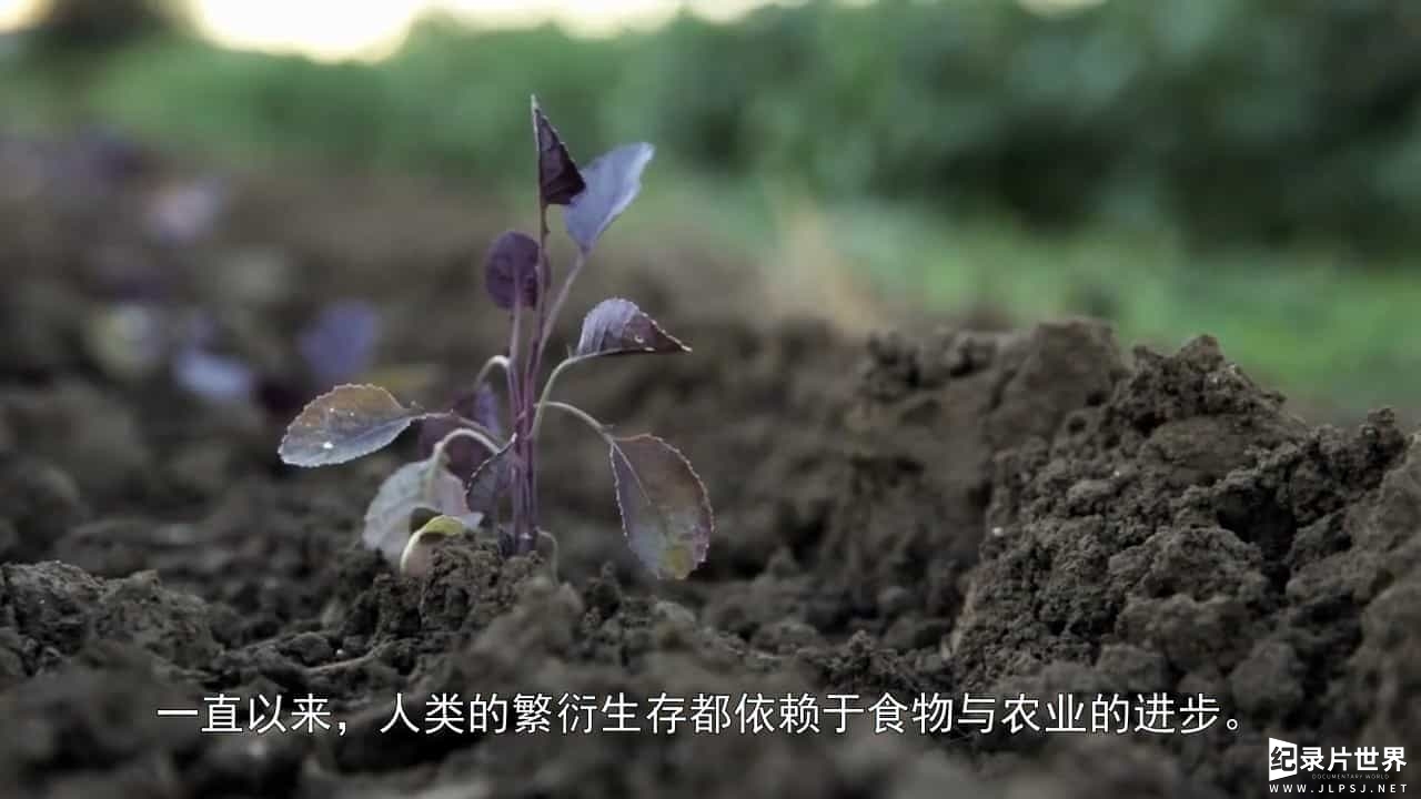 美国纪录片《食物进化 Food Evolution 2016》全1集