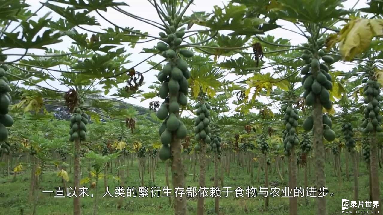 美国纪录片《食物进化 Food Evolution 2016》全1集