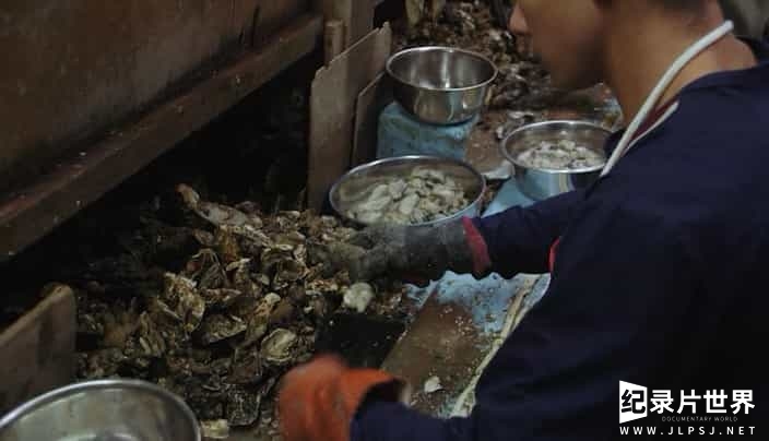 日本纪录片《牡蛎工场 Oyster Factory 2015》全1集 