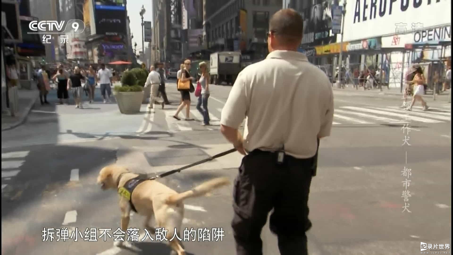 央视纪录片《蓝领工作犬 Blue Collar Dogs 2015》全3集