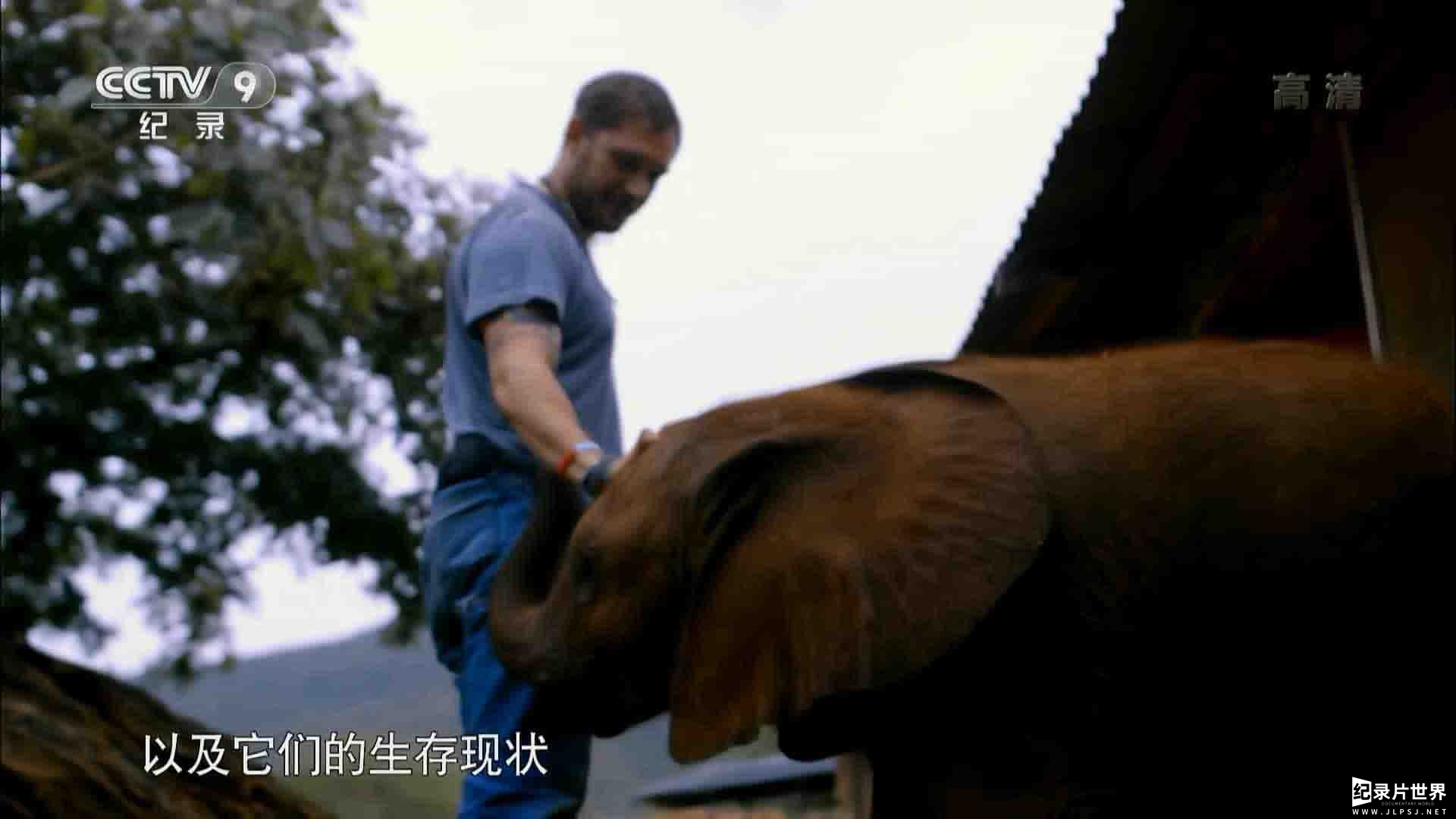 央视纪录片《和汤姆·哈迪一起探险/汤姆·哈迪：反盗猎战争 Poaching Wars with Tom Hardy 2013》全2集