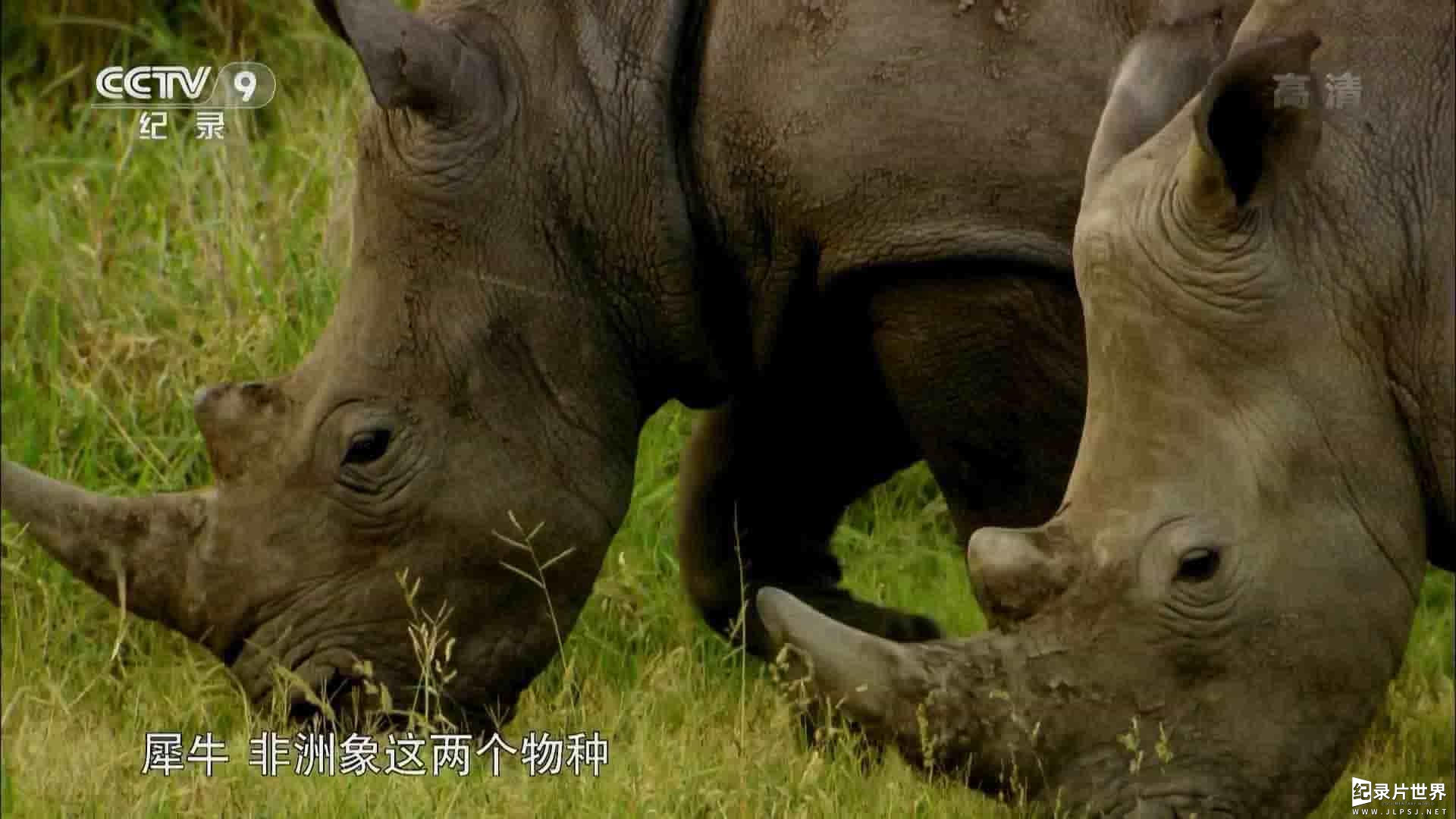 央视纪录片《和汤姆·哈迪一起探险/汤姆·哈迪：反盗猎战争 Poaching Wars with Tom Hardy 2013》全2集